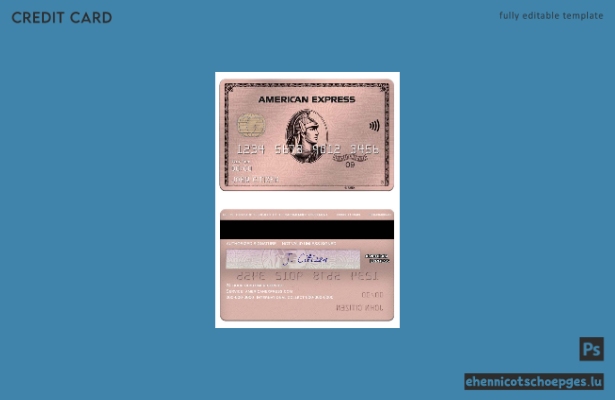 USA Missouri Together Credit Union Bank American Express Rose Gold Card Beispielvorschau